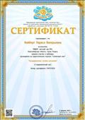 Сертификат за участие в вебинаре, проводимом на международном образовательном портале "Солнечный свет", тема "Нетрадиционные техники рисования", 11.02.2020 год;